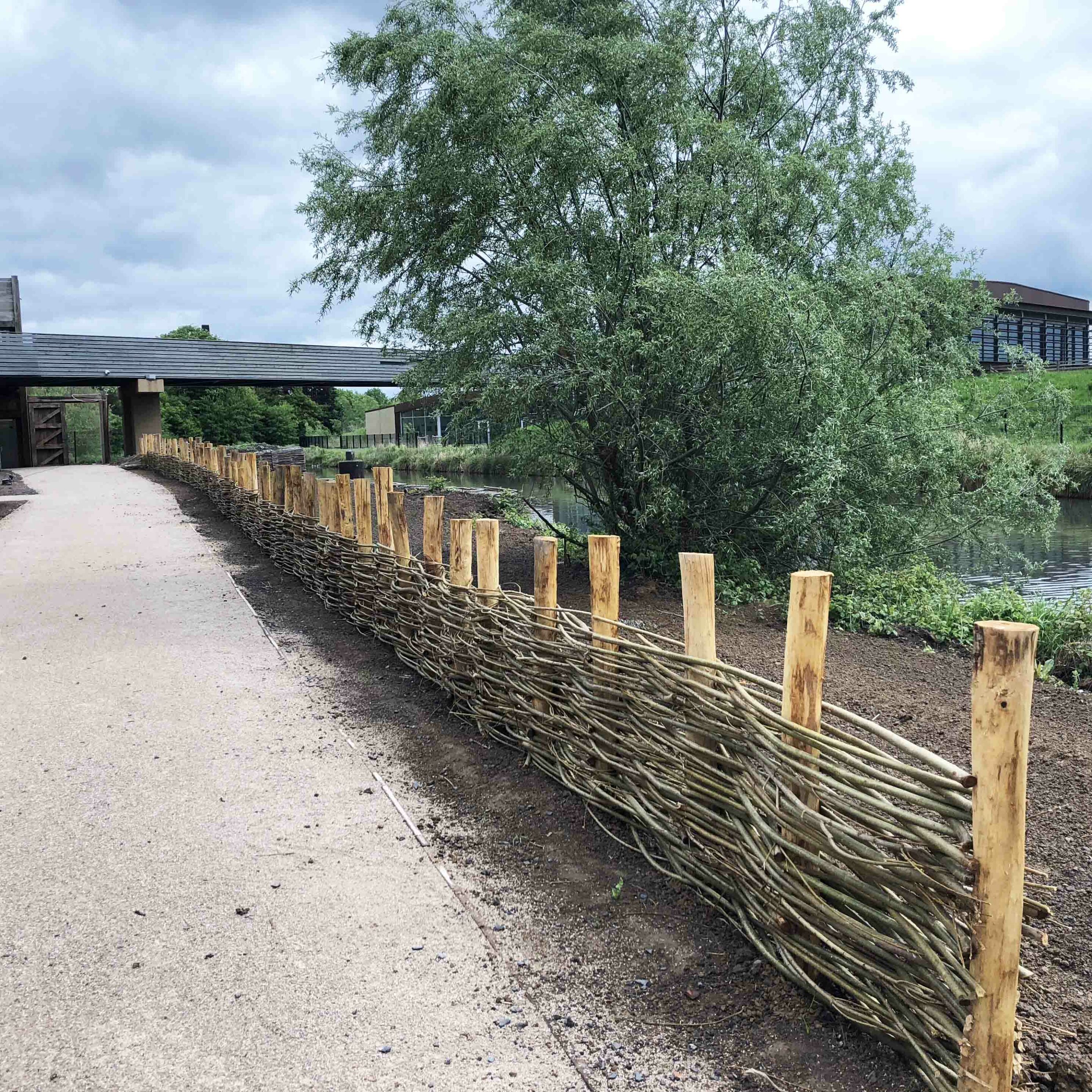 Ouvrages Spéciaux Rénovation Charpente bois Raches Douai musée Arkéos - Charpentier des Flandres